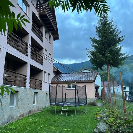 Pensiunea Flora Cîrţişoara Exterior foto