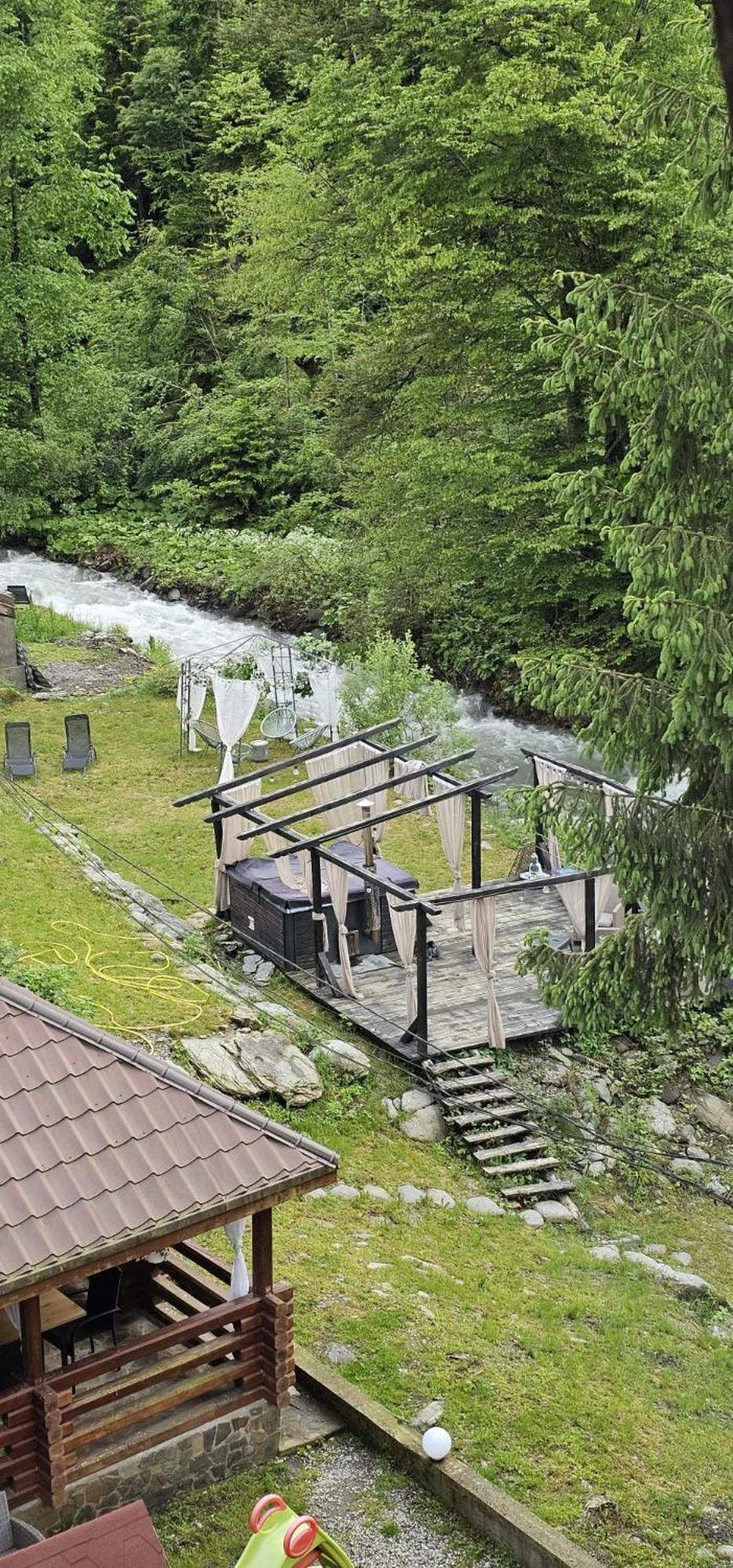 Pensiunea Flora Cîrţişoara Exterior foto